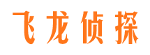 沈河市私家侦探